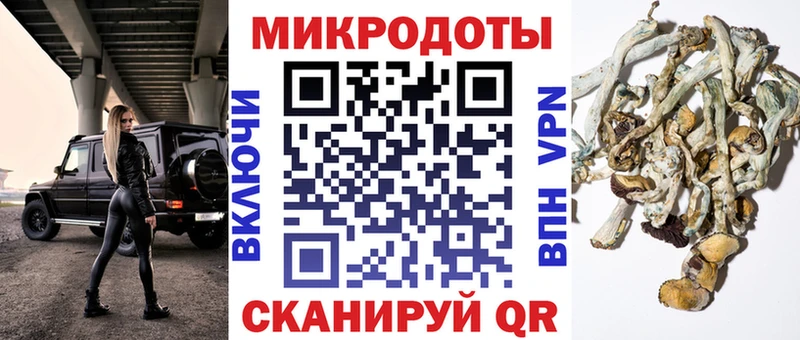 Купить где  Сертолово  Галлюциногенные грибы Psilocybine cubensis 